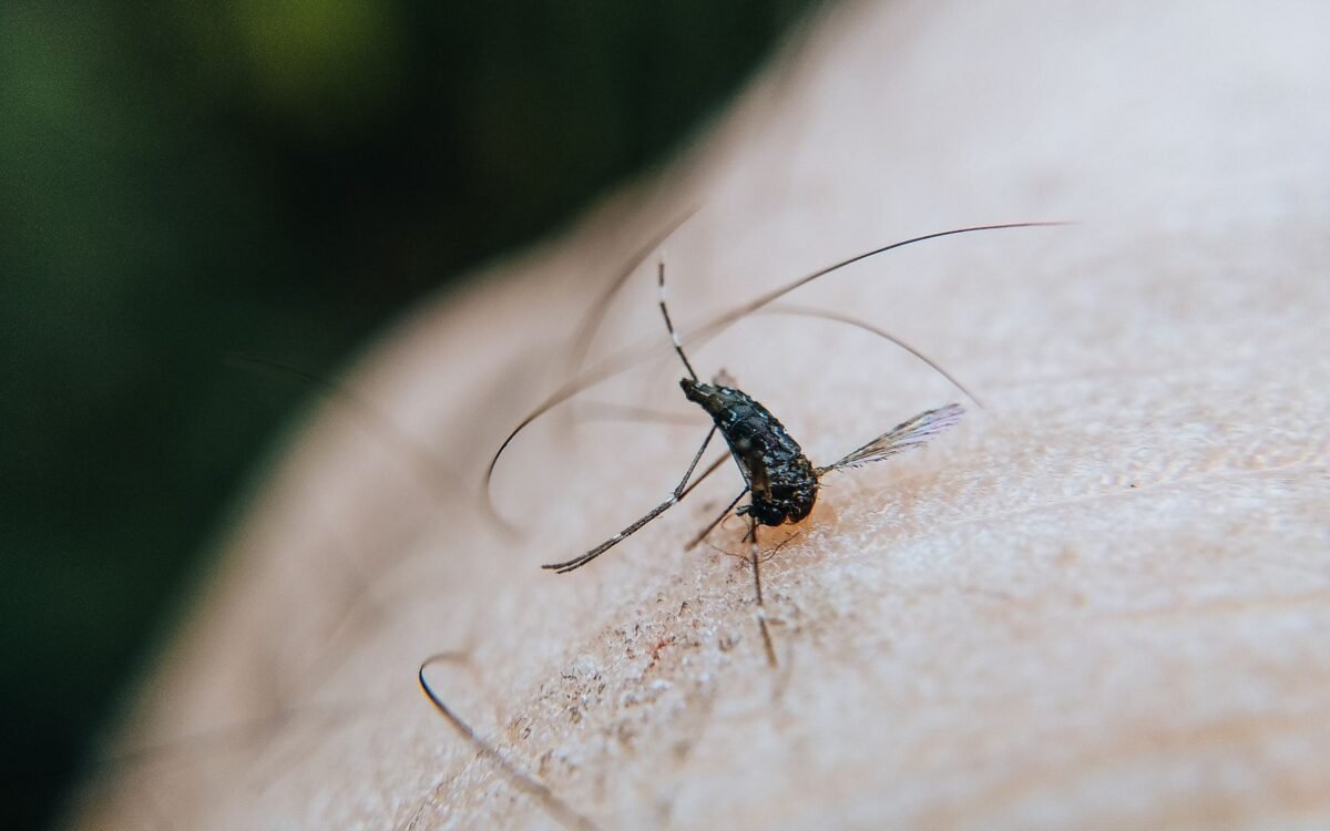 Profissional de dedetização inspecionando caixa d'água de condomínio em Santos para prevenir mosquito dengue